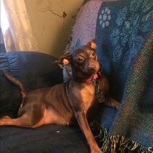 Meet your Posher, Michele